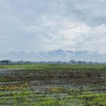 Volver al campo: el deseo de una vida más lenta, más verde y más humana