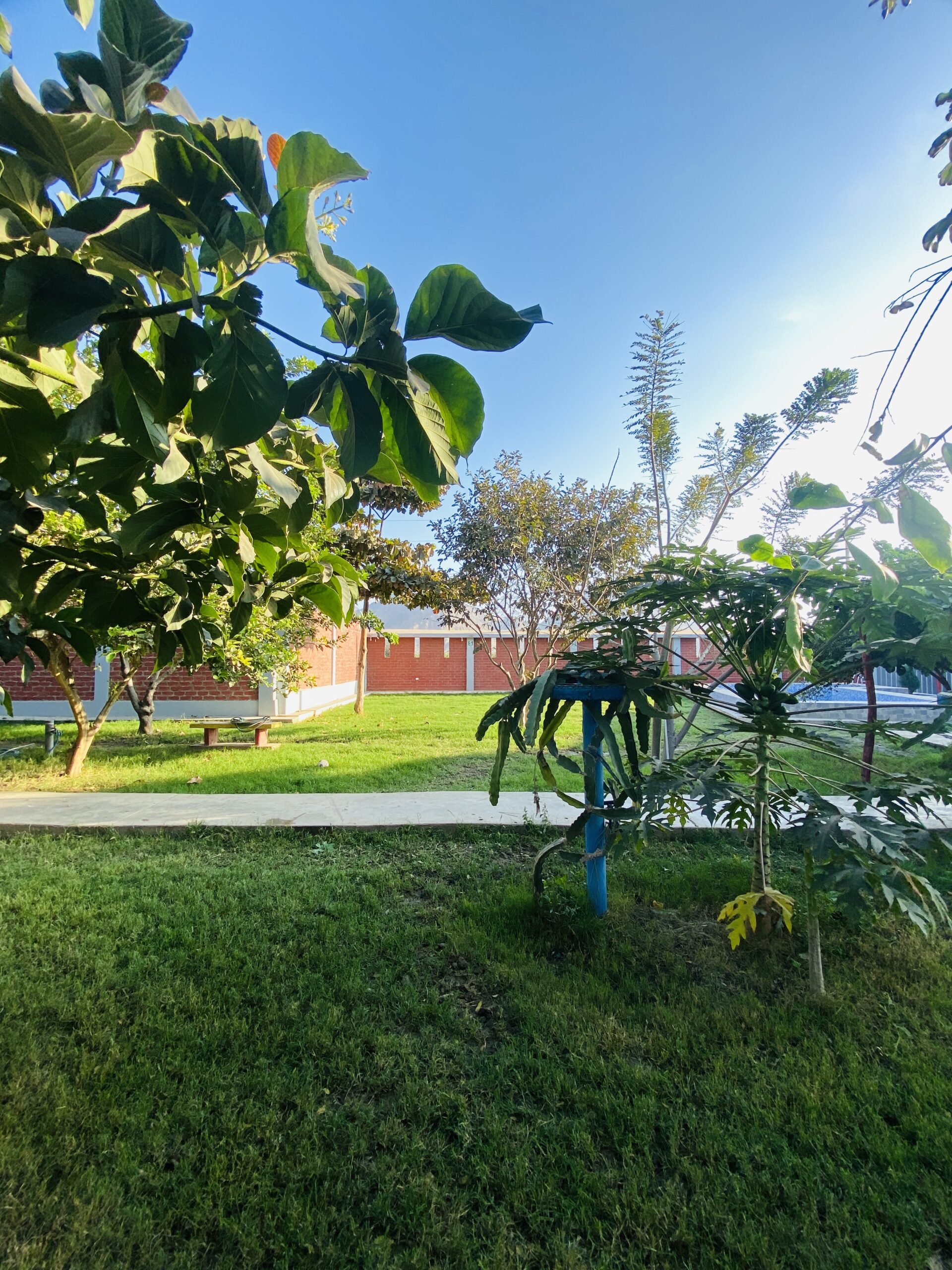 Mini Parque