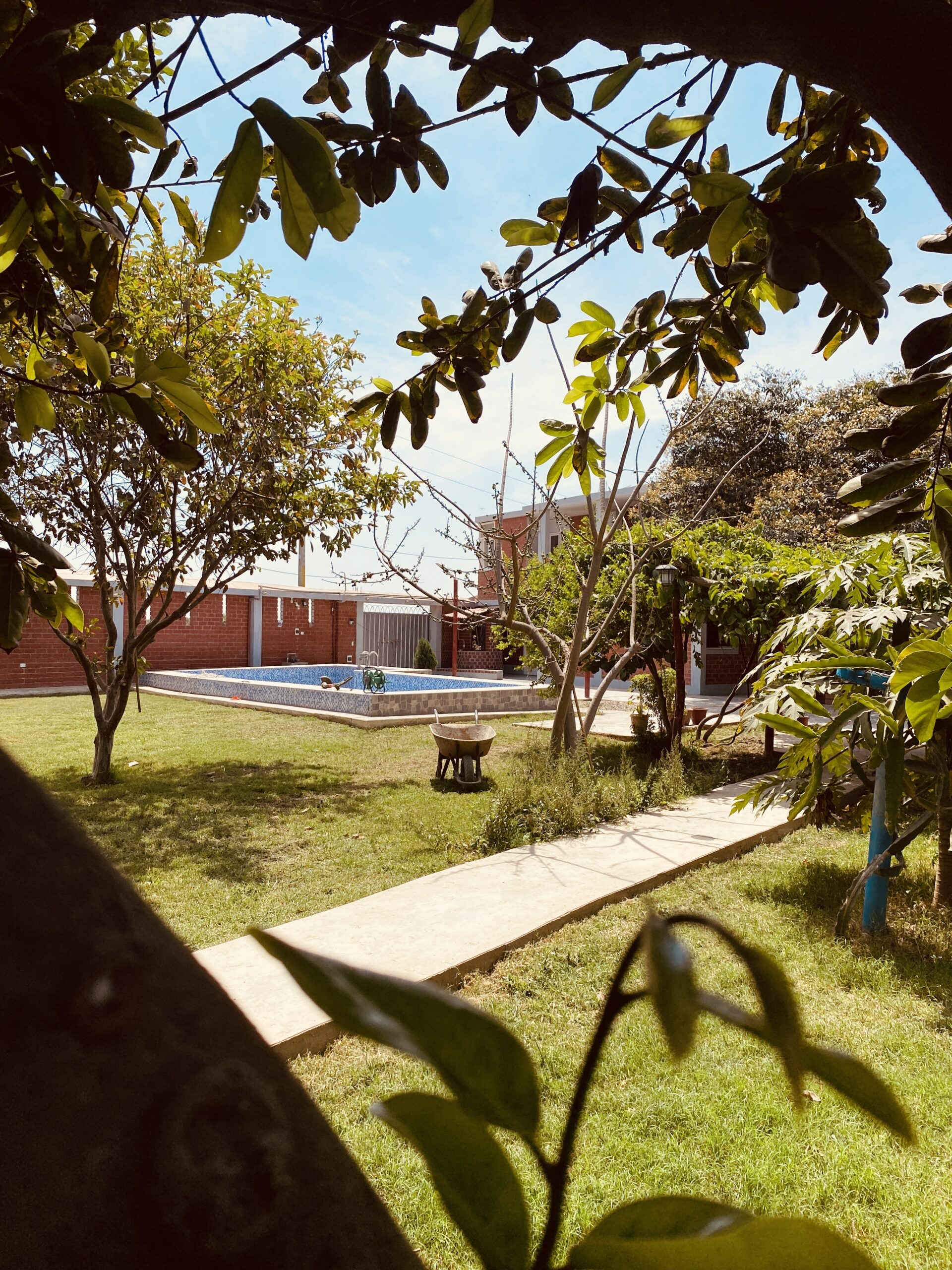 Huerta de frutas